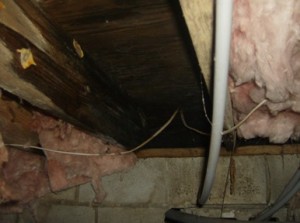 crawl space repairs crawl space repairs